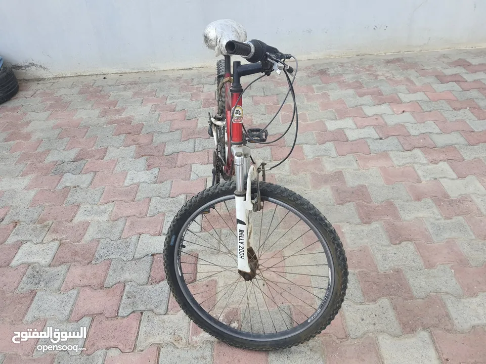 سيكل/عجلة/دراجة هوائية حالة ممتازة لا تحتاج إلى شئ Cycle/bicycle Perfect, No need for anything