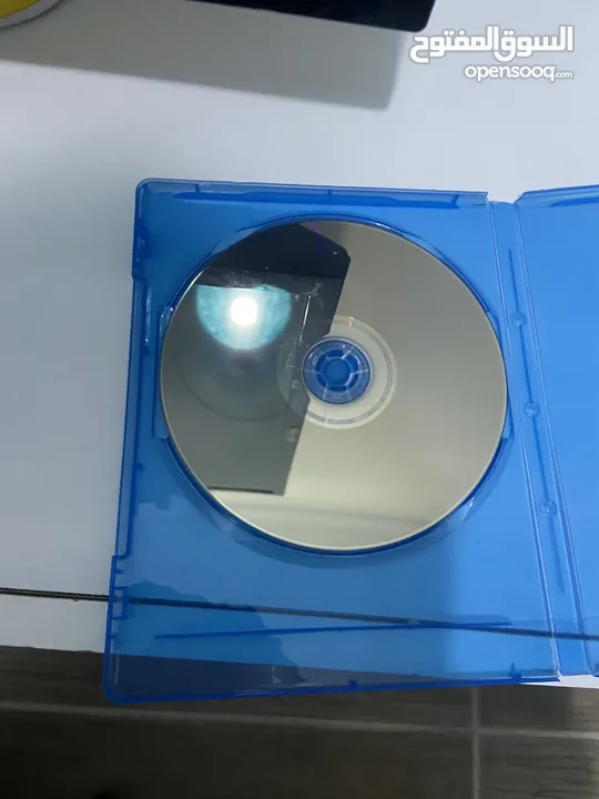 سيدي فيف 23