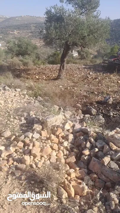 قطعة ارض للبيع