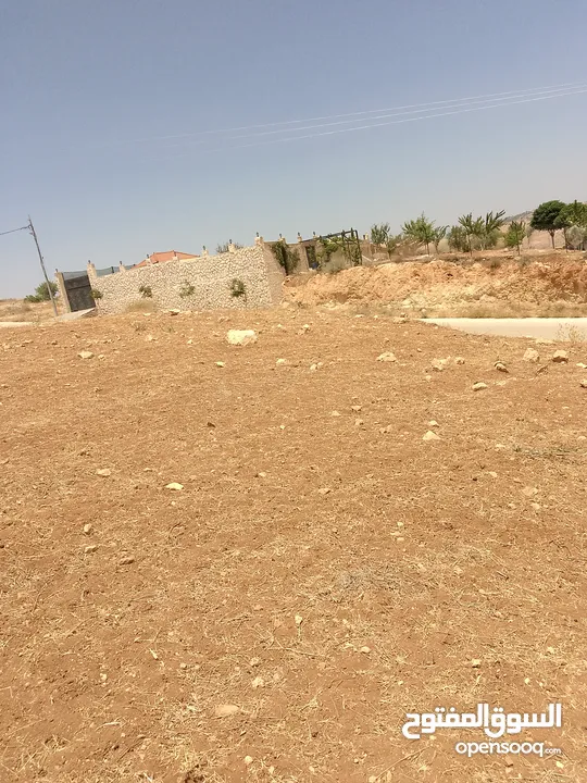 أرض للبيع  الكمشه