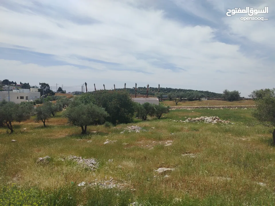 دنم مميز بطنا ع شارعين قرب شارع الستين الجديد