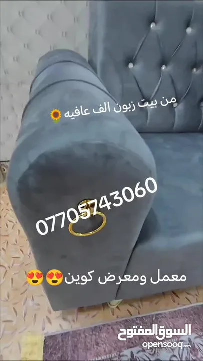 تخم قنفات درجه أولى