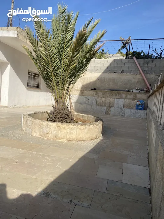 بيت مع الارض جاهز للسكن طابو B سعر مناسب من مالك مباشر  بين أبو نجيم واد  رحال موقع هادي السكن