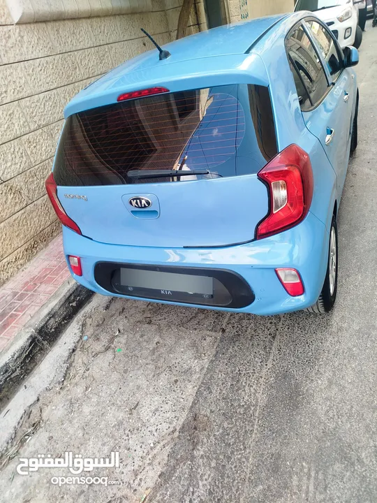 بصمه فل فحص نخب19