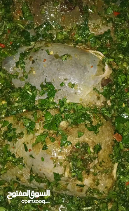 ام عدي للطبخات المنزليه نظافه وطعم وسعر مارح تستغني عنو  كرش فوارغ لحمة راس ورق عنب مناسف للمناسبات