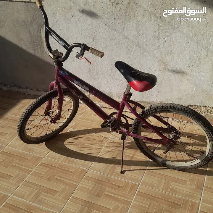بسكليت نمرة 20 للبيع
