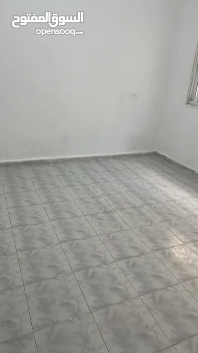 شقة للايجار