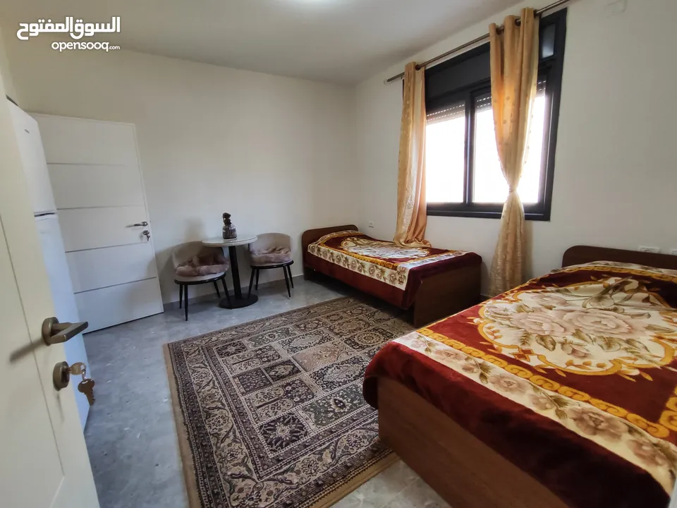 شقة صغيرة مفروشة للايجار في الماصيون