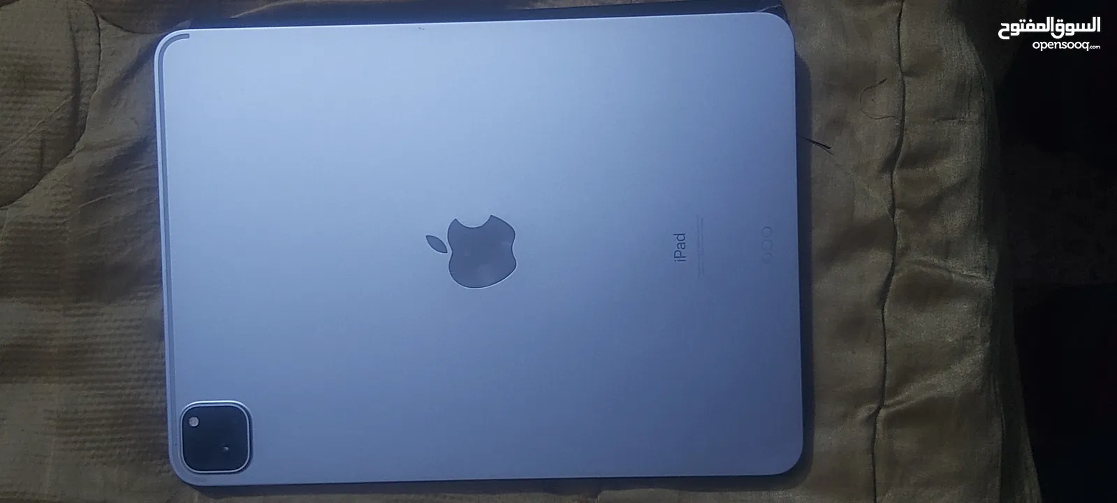 iPad 11 Pro ( 2021 )