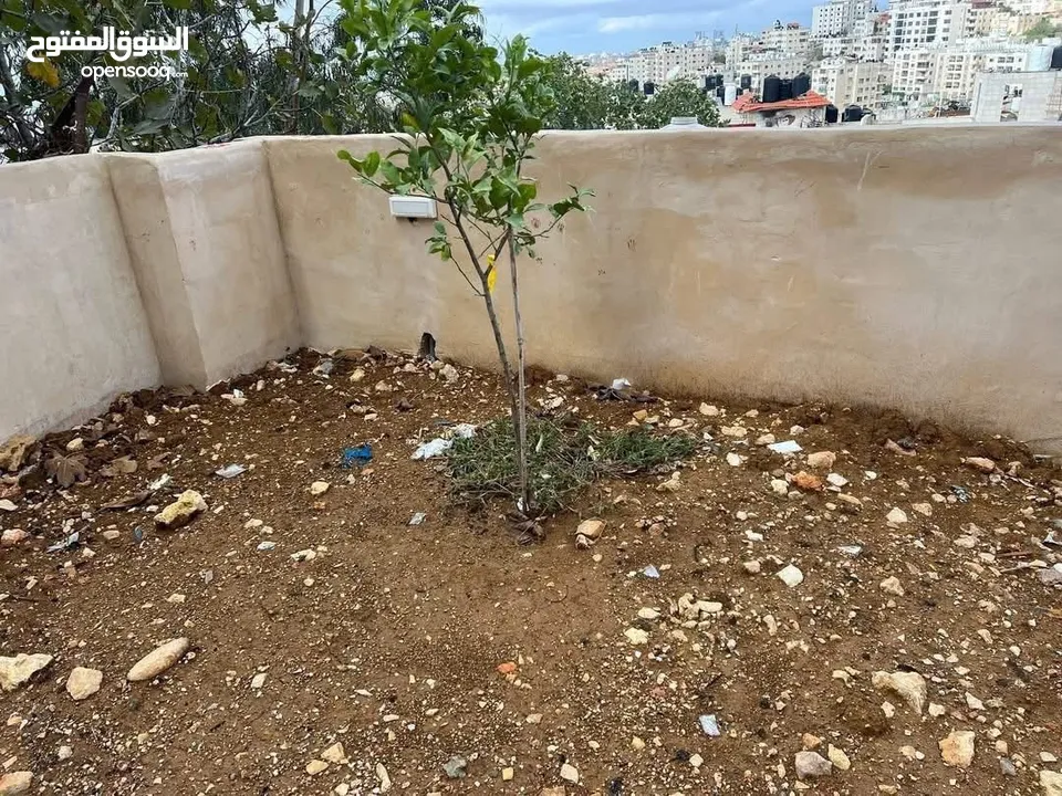 شقه للبيع قرب شا ع ركب والكلية الاهليه مساحه 110م مع حديقه 100م