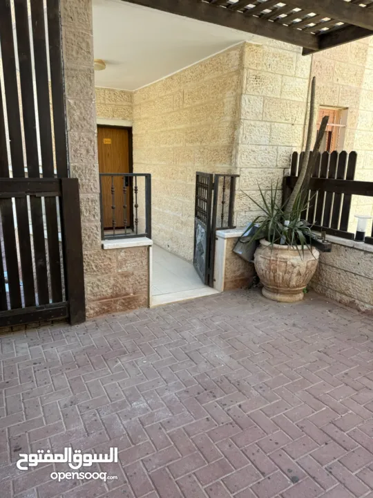 شقة مفروشة / الماصيون