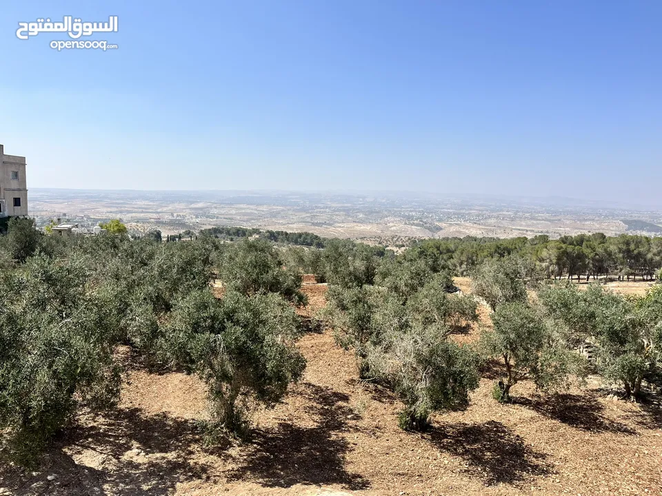 قطعة ارض للبيع مميزه ومطلة المساحة 4,609