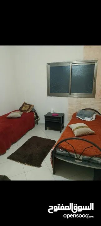 شقة للايجار