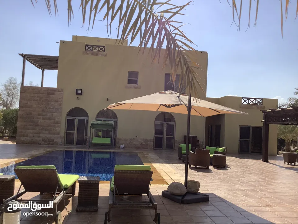 مزرعة في البحر الميت/ الشونه الجنوبية / السويمه / حوض جلد مميزة للبيع للجادين فقط