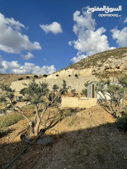 مزرعة في مغاريب السلط من المالك مباشرة