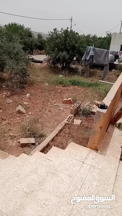 للبيع المغ