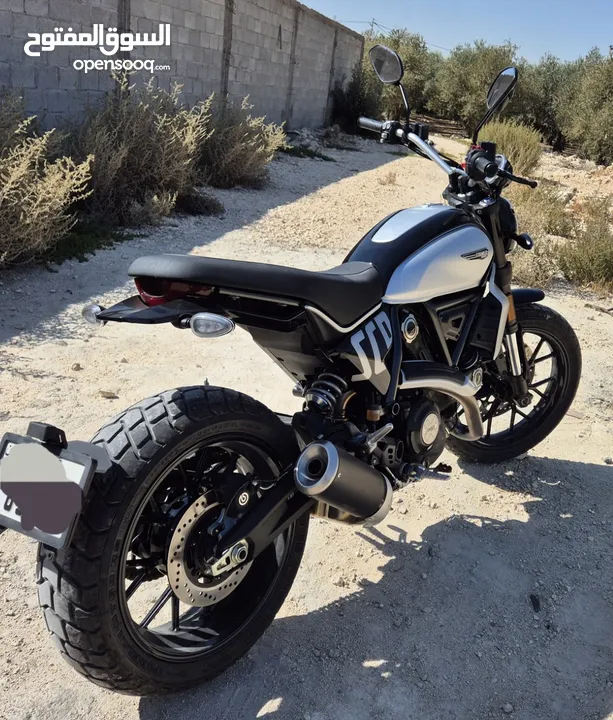 دوكاتي سكرامبلر 800 cc 2024 ماشي اقل من 1000 كيلو تحت كفالة الشركة ducati scrambler icon 2024