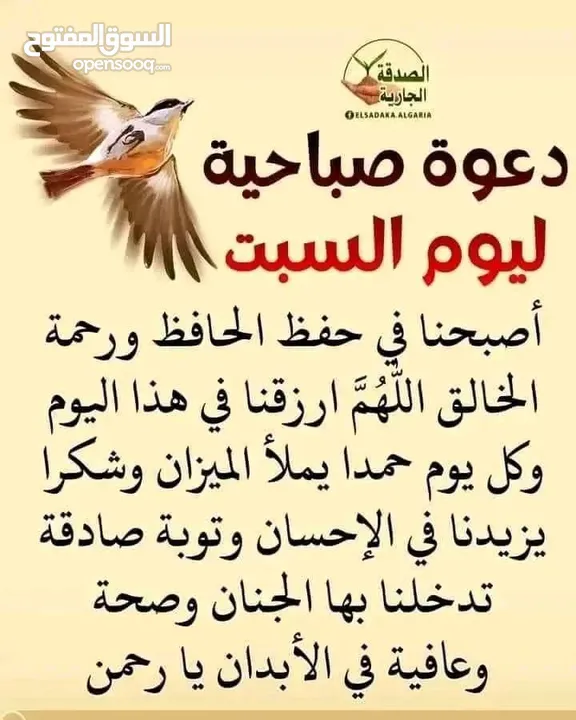 شقه لقطه اللقطه لأي نشاط تجاري175م شارع القدس تجاري ممتاز جدا 20م دور1 وش نظافه غاز عدادكهرباء