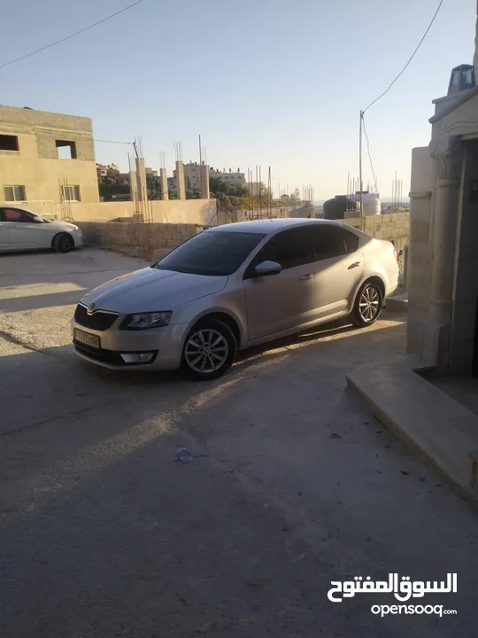 علي ابو بكر