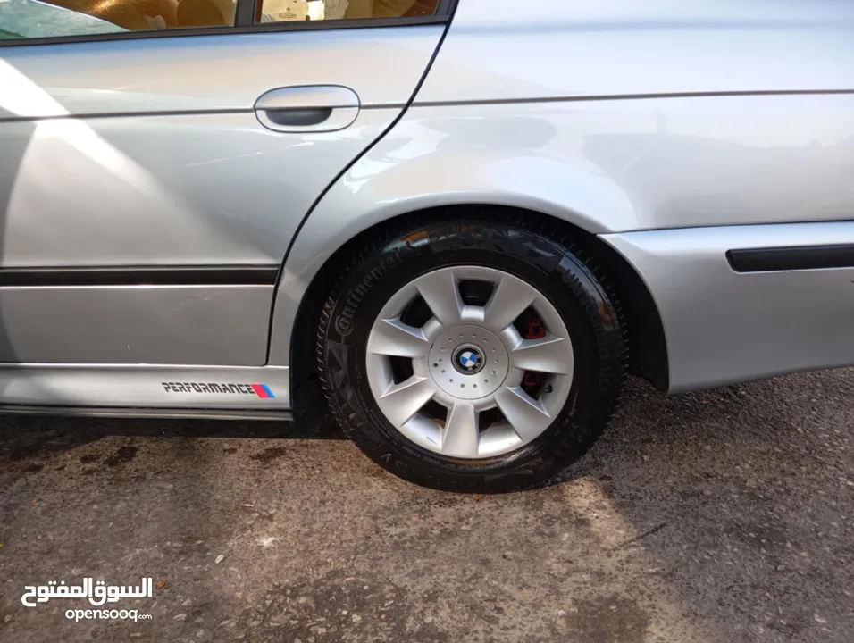 حنط فوله..