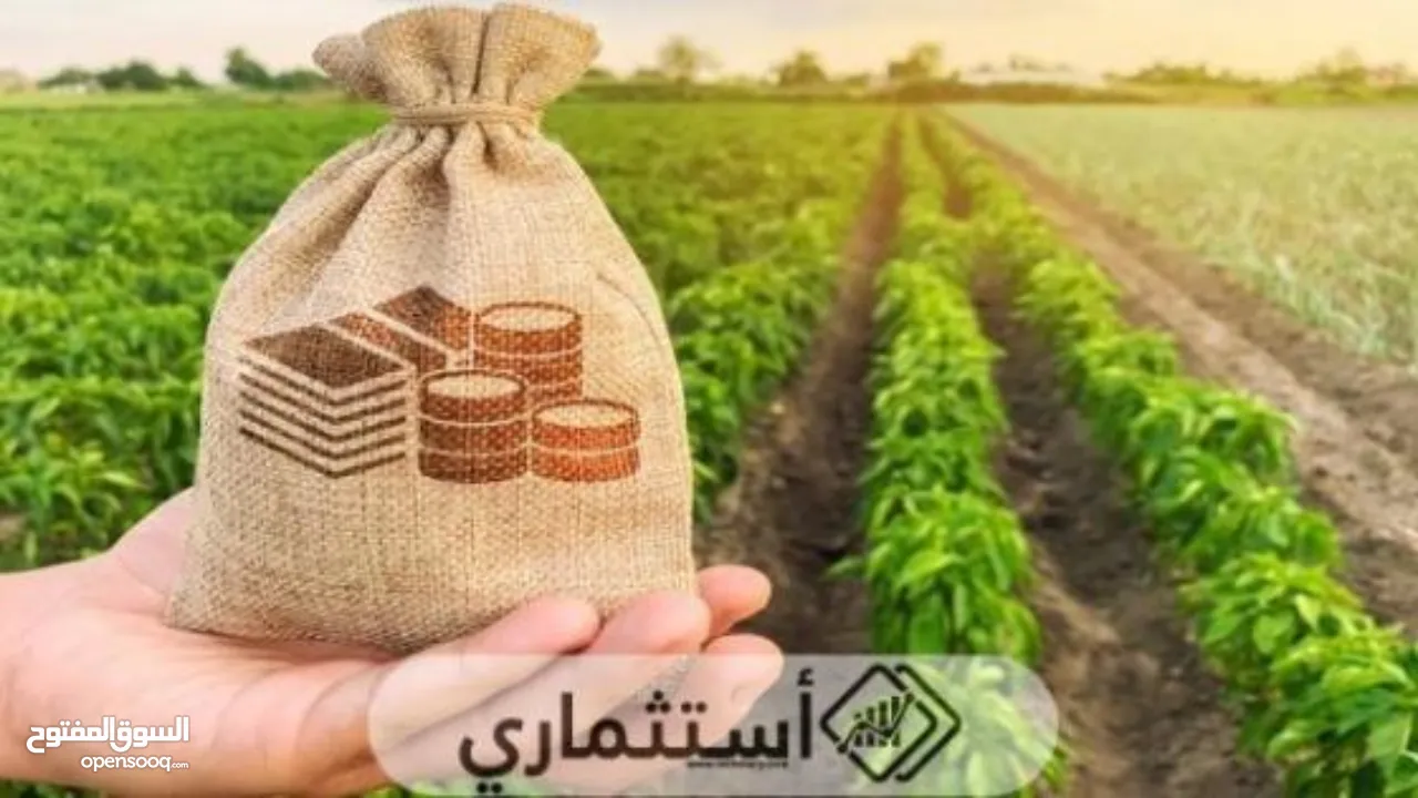 برنامج تعليم وتدريب  ( نخبة التداول والاستثمار ) الاخترافي