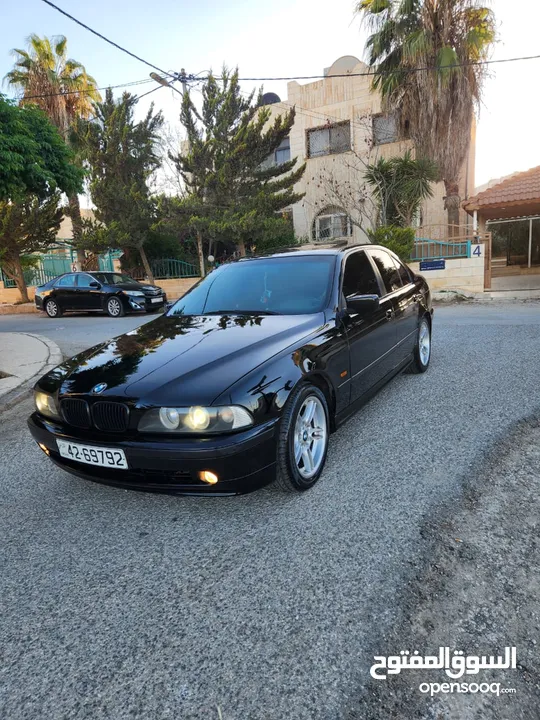 BMW E39 الدب