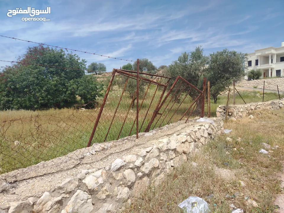دنم مميز بطنا ع شارعين قرب شارع الستين الجديد