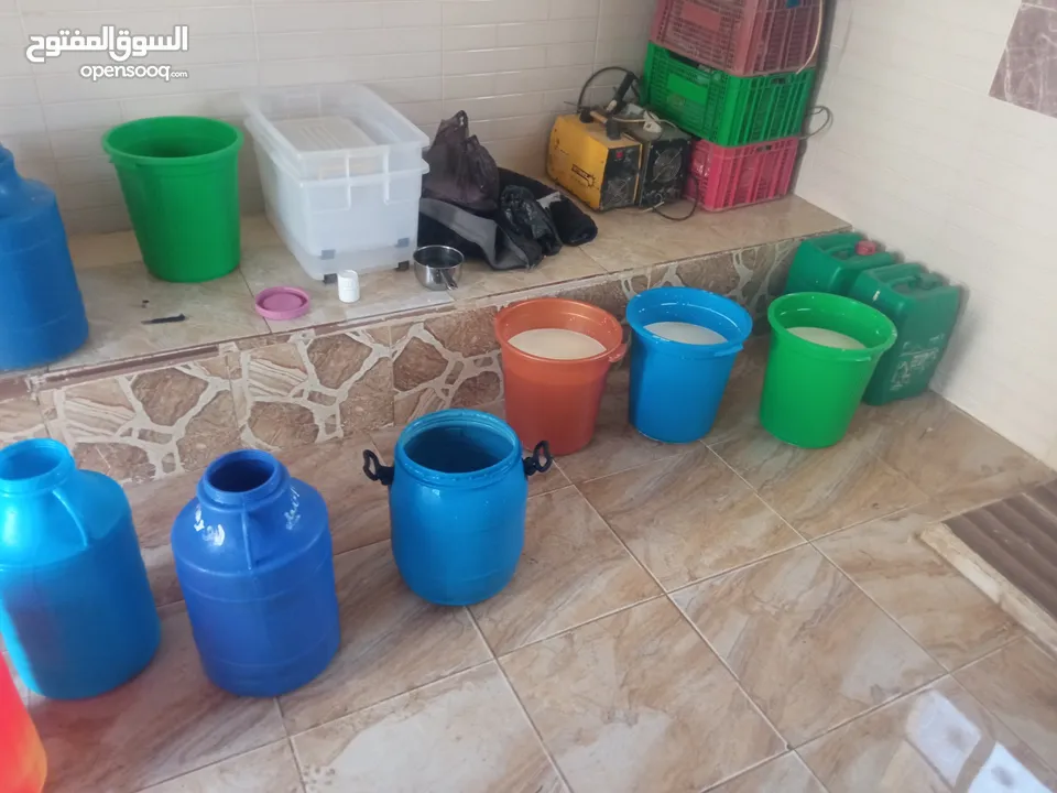 مطلوب شريك ممول لمعمل اجبان  يعمل بشكل جيد