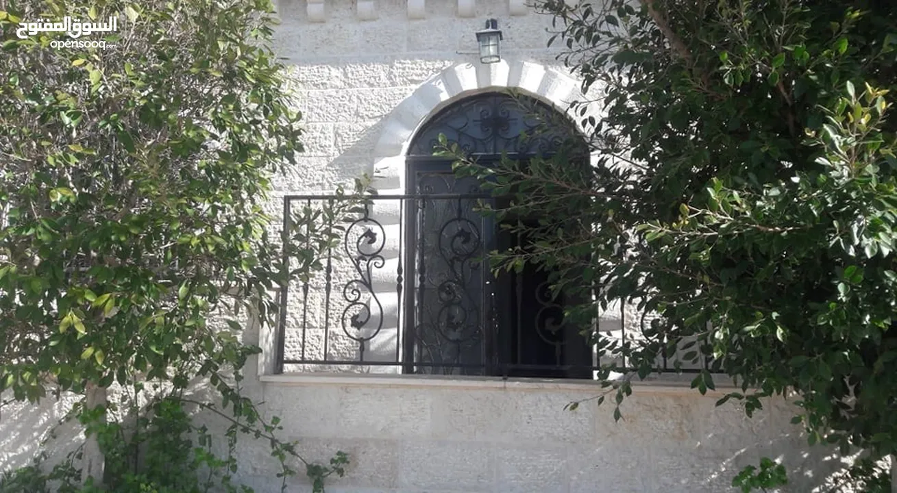 سليم علي سليم