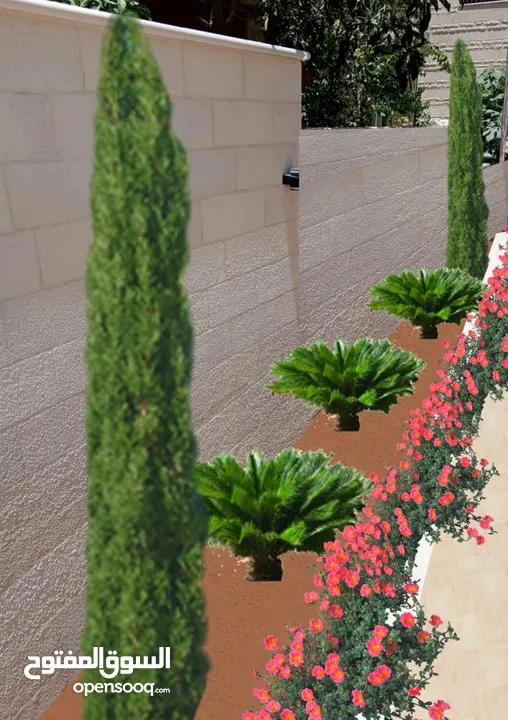 تنسيق حدائق