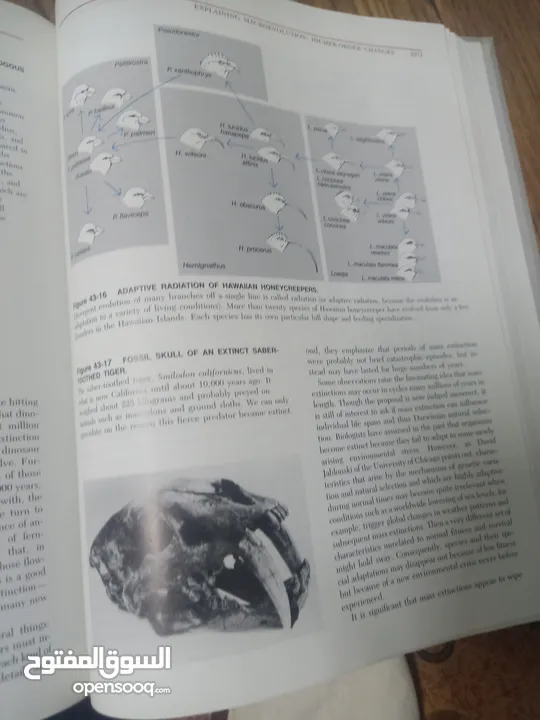 كتاب بعنوان biology
