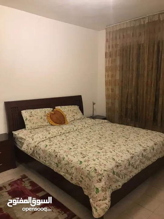 Cozy Furnished ground floor apartment for annual rent