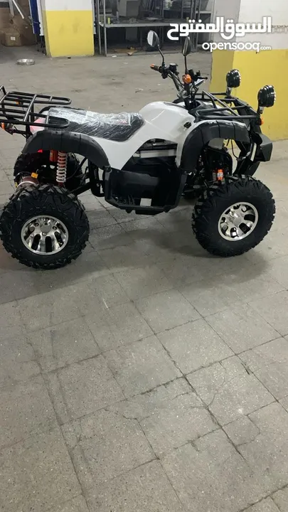 دباب جبلي رباعي