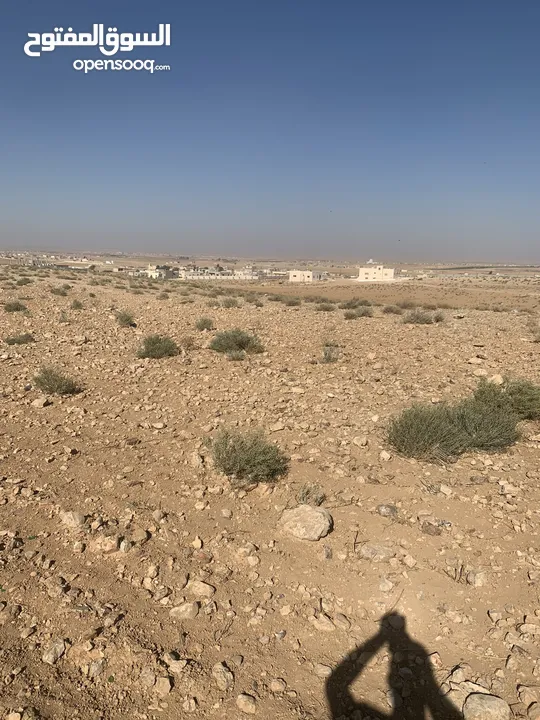 ارض للبيع 13 دنم و400 متر المفرق—الغدير الغربي المنصوره