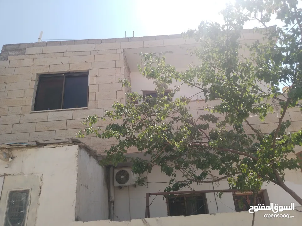 بيوت   طابقين   واحدة شقتين    والثانية ثلاث شقق
