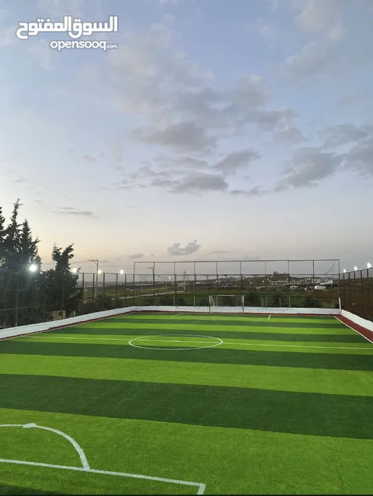 عشب ملاعب / عشب حدائق / عشب مدارس / عشب مزارع / عشب صناعي/ نجيل / تارتان Playground grass