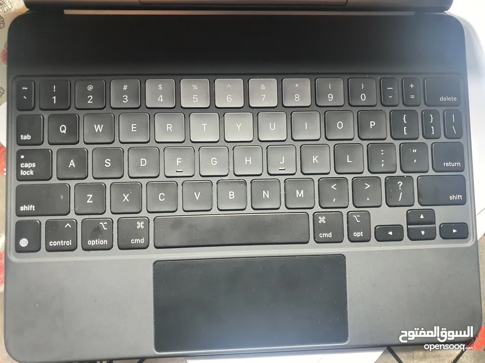 Apple Magic Keyboard with mouse(ipad pro 11)