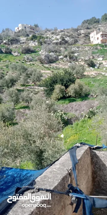 قطعة ارض مربعة في بيت امرين