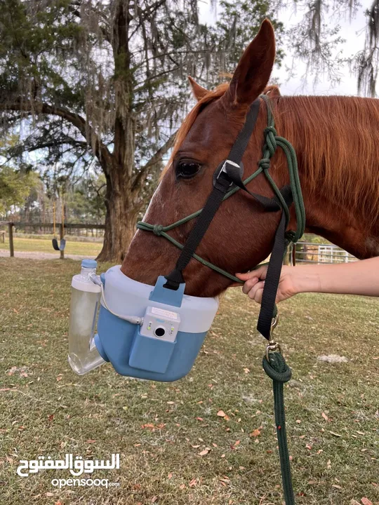 جهاز التنفس المتنقل للخيول