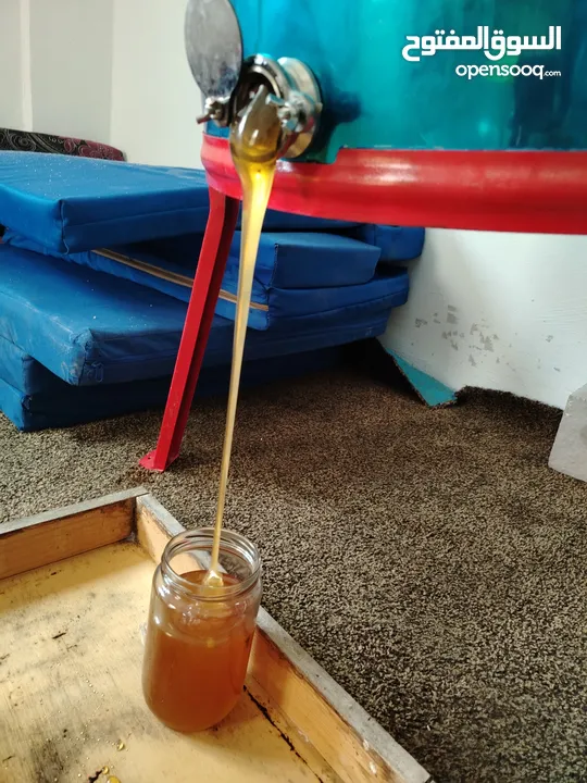 عسل ربيع بلدي فحص