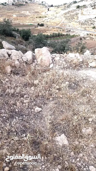 قطعة أرض مميزة للبيع
