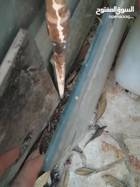 زجاج حراري