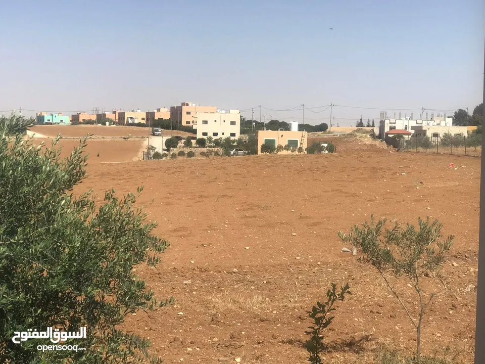 دونم للبيع لواء ذيبان