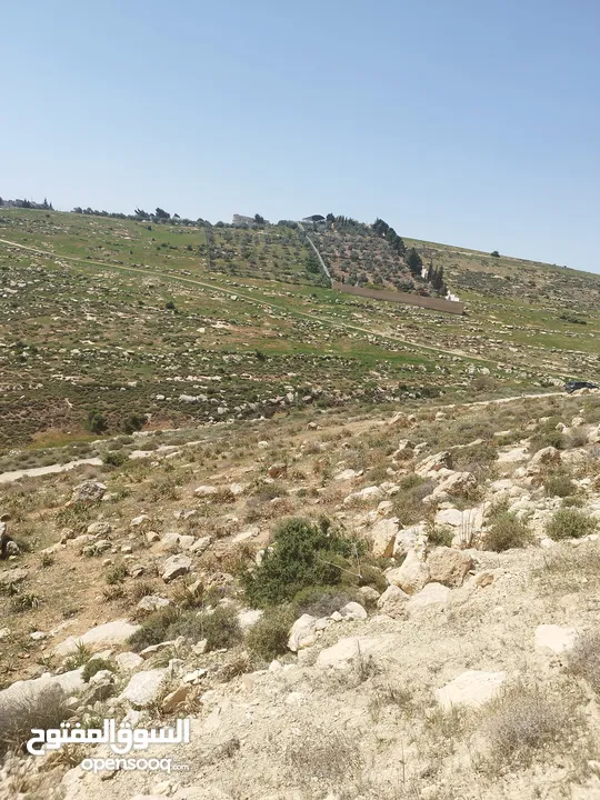 قطعة ارض للبيع بسعر مغري جدا