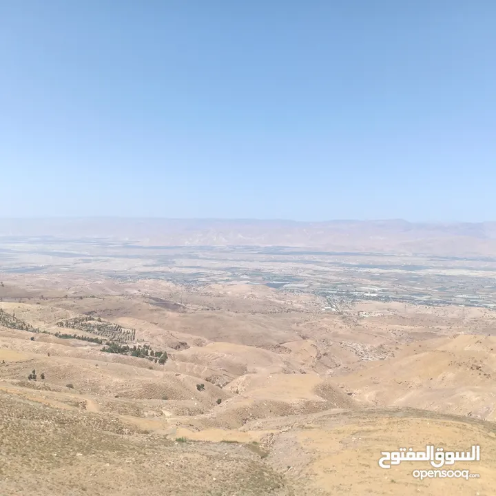 مزرعه للبيع في الصبيحي مطله على فلسطين