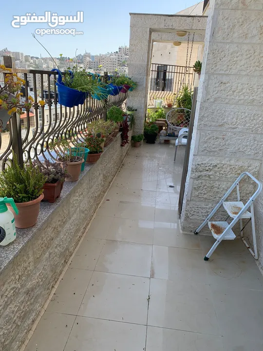 شقة مفروشة للايجار