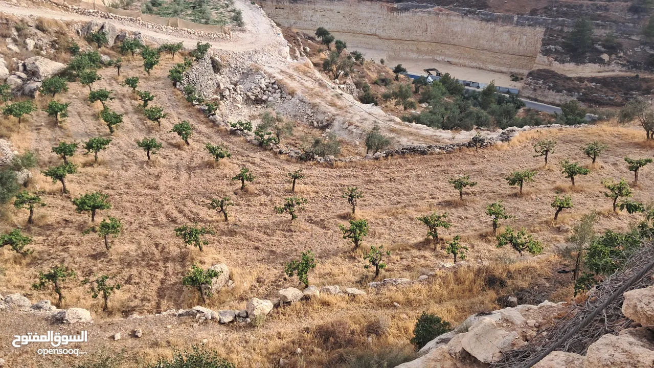 أرض في بيت كاحل مطلة على شارع واد القف
