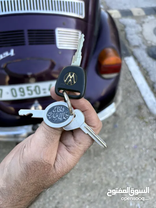 فوكسفاكن بيتل (صرصور)