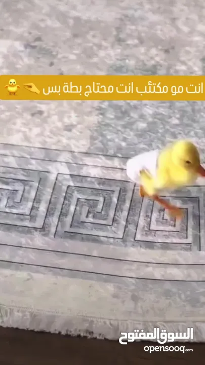 بطبوطة صغنونة