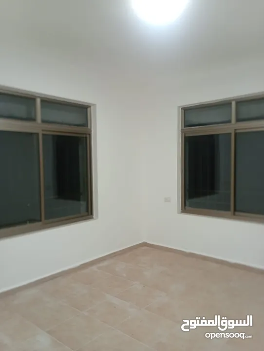 شقه للايجار